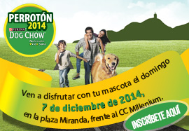 Carrera 4 Kms Perrotón 2014